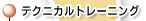 �e�N�j�J���g���[�j���O