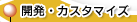 �J���E�J�X�^�}�C�Y