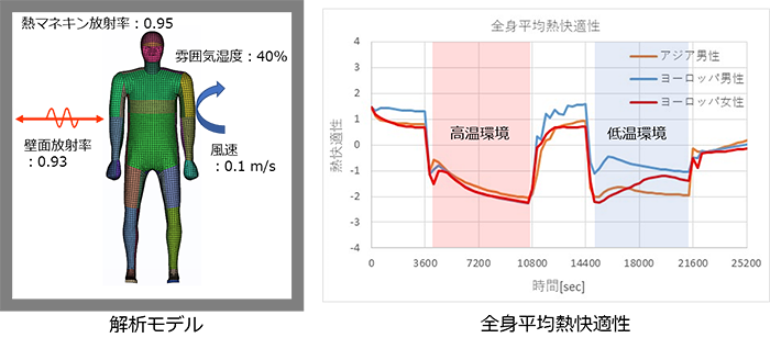 図２　人種・性別の異なる熱マネキンによる熱快適性解析の例