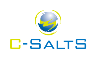 C-SaltS：大規模構造・地盤連成解析システム