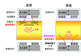 電磁超音波センサ（EMAT）による超音波送受信シミュレーション