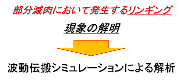 超音波非破壊検査シンポジウム：T(0,1) mode ガイド波の非軸対称減肉における伝搬挙動