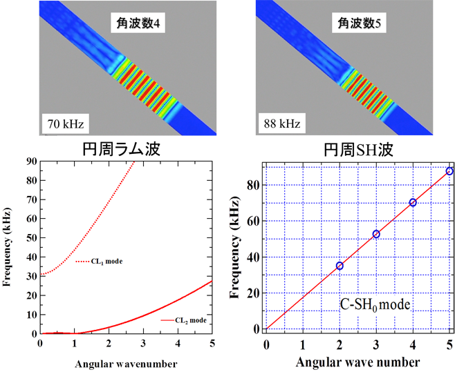 超音波非破壊検査シンポジウム：T(0,1) mode ガイド波の非軸対称減肉における伝搬挙動