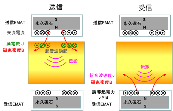 EMATの送受信メカニズム