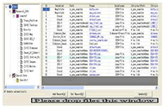 e-Geoシリーズによるデータ表示・管理例
