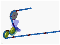 Structural Analysis