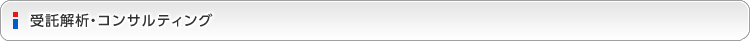 受託解析・コンサルティング