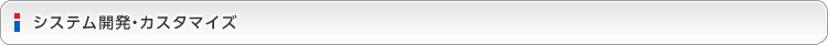 システム開発・カスタマイズ
