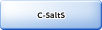C-SaltS：大規模構造・地盤連成解析システム