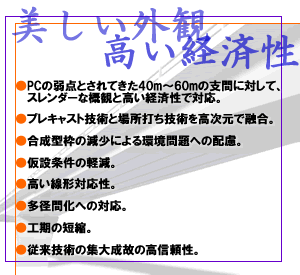 PC橋梁の新設から補強まで専門集団としての高度な技術で対応