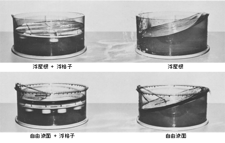 浮き屋根のスロッシング抑制構造