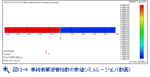 図12-4　単純衝撃波管始動の数値シミュレーション（動画）