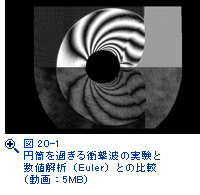 図20-1