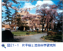 図21-1　片平桜と流体科学研究所