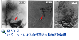 図30-3　水ジェットによる血行再建の動物実験結果