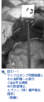 図31-1　マイクロポンプ切開装置とその兎肝臓への試行（仙台市立病院、中川敦寛博士、エプソン(株)瀬戸毅氏提供）（動画）