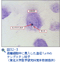 図32-3　遊離細胞中に貫入した直径1μmのタングステン粒子（東北大学医学研究科荒井教授提供）