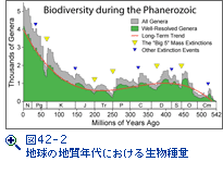 図42-2　地球の地質年代における生物種量 